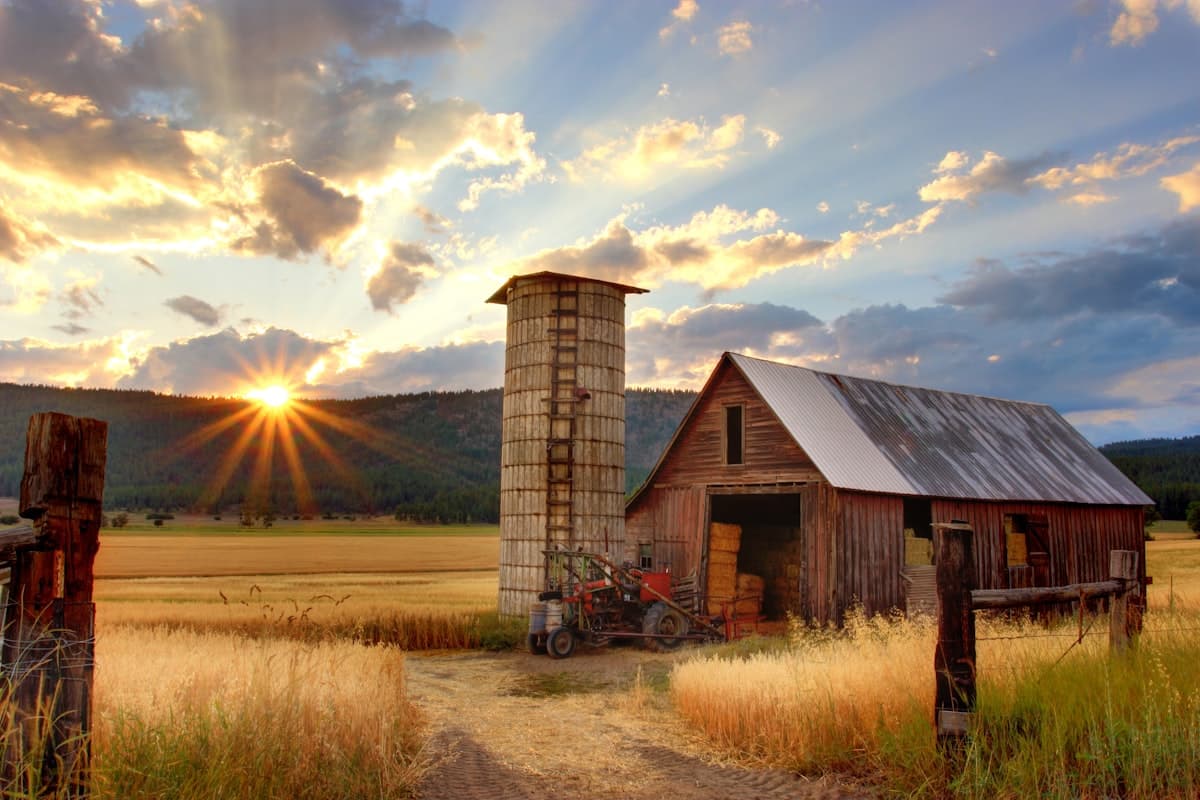 Windridge Farm — family farming