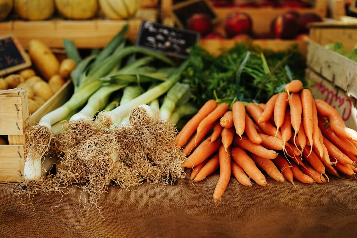 Fresh vegetables, pasture-raised chickens, flowers, and a vintage tractor — Windridge Farm